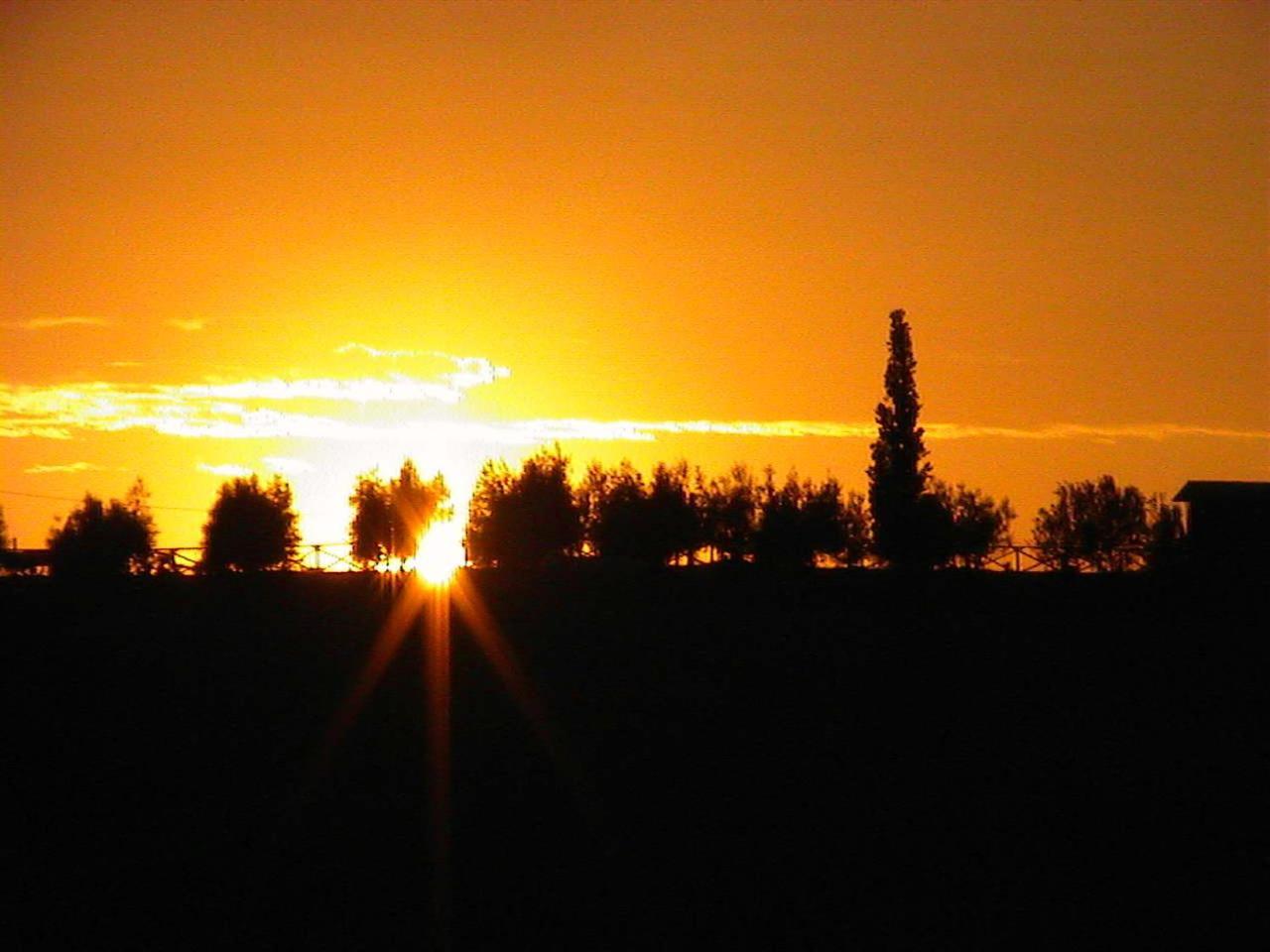 Agriturismo Le Docce Castelfiorentino Extérieur photo
